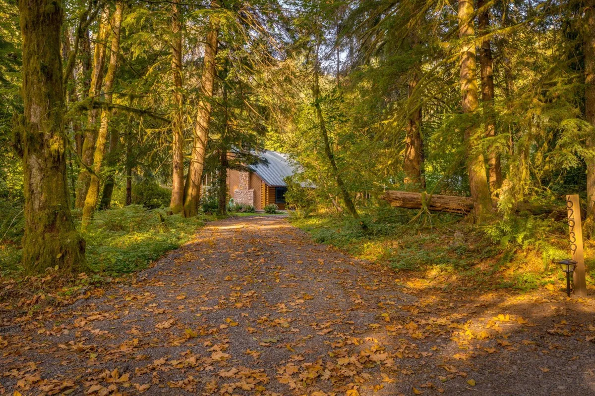 A tranquil scene of the home's gravel driveway set among towering trees and scattered leaves, with the house in the background. The environment invites leisurely walks, wildlife spotting, and connection to the surrounding forest.